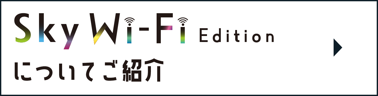 Sky Wi-Fi Editionについてご紹介